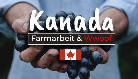 Farmarbeit in Kanada Jobmöglichkeiten, Wwoofing und Co - Cover