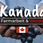 Farmarbeit in Kanada Jobmöglichkeiten, Wwoofing und Co - Cover