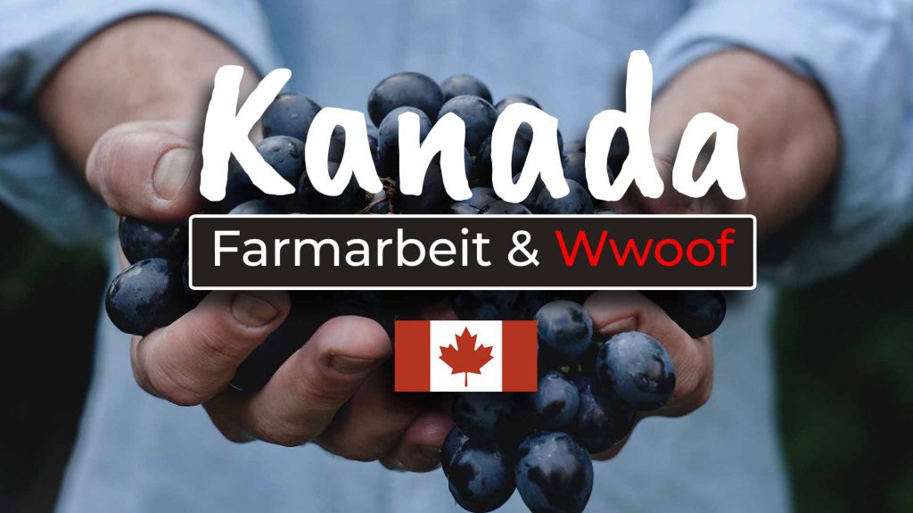 Farmarbeit in Kanada Jobmöglichkeiten, Wwoofing und Co - Cover