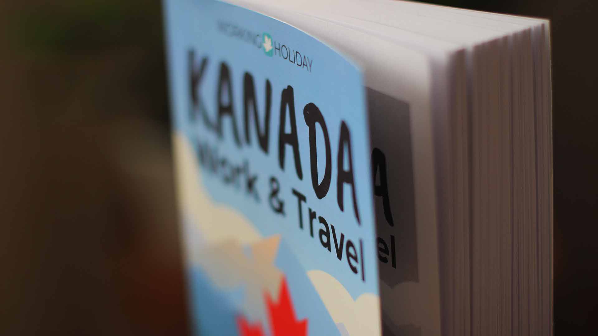 Work and Travel Kanada Ratgeber - Daniel Kovacs - Gedruckte Ausgabe Bild 02